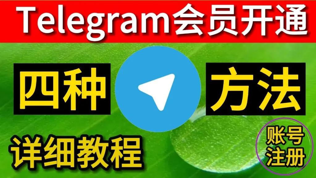 Telegram会员申请教程